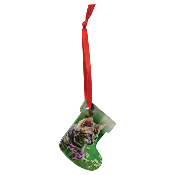 Acrylic Ornament - Image 5