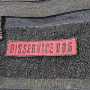 Disservice Dog